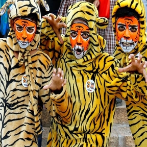Kids For Tigers