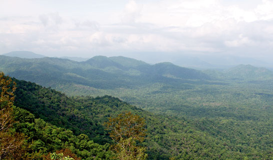 Undulating hills such as Netarhat, Mundu and Huluk mark Palamau, one of the original nine tiger reserves in India. It will require nothing less than a miracle to halt this reserves slide into obscurity, feels Kazmi.