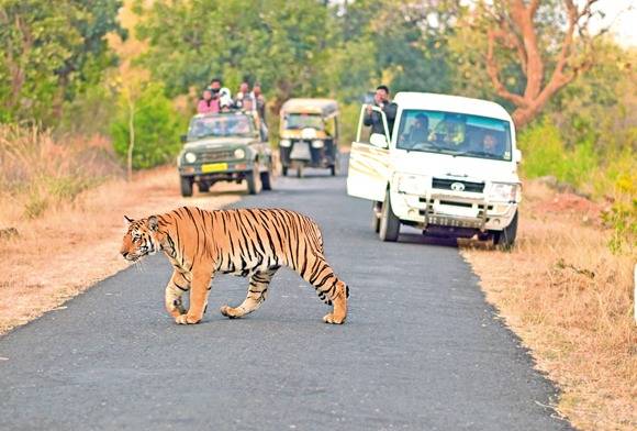 Sanctuary Nature Foundation