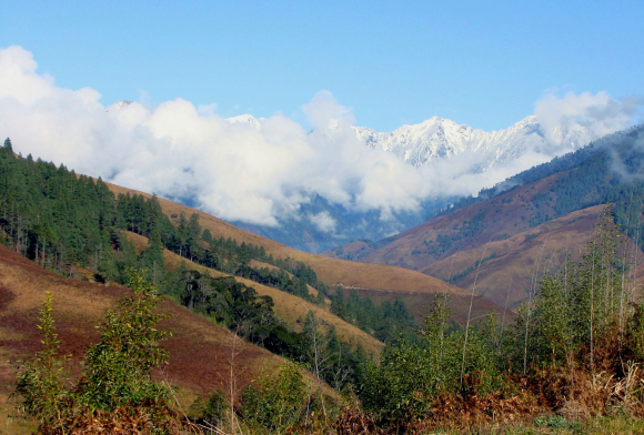 Public Pressure to Scrap Destructive Etalin Project Mounts