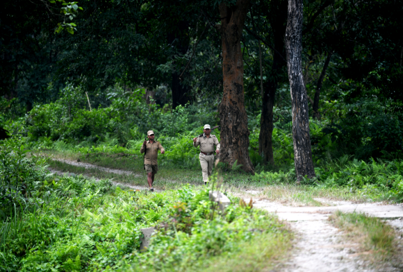 How COVID-19 has Impacted India's Protected Areas