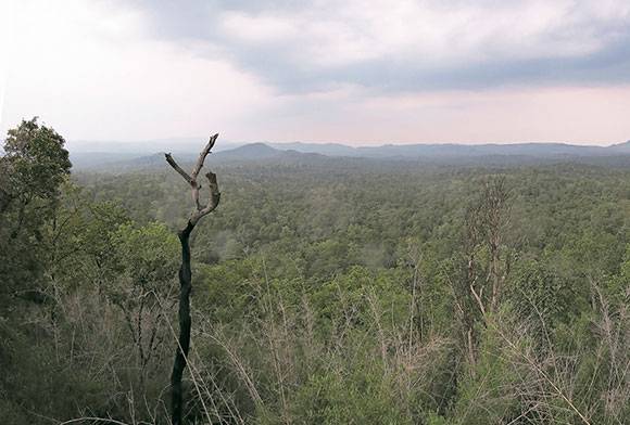 Achanakmar