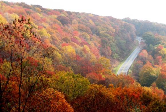 Autumn Thoughts