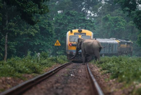 A Country of Campaigns