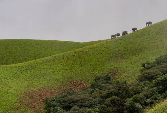 India Belongs to the Young