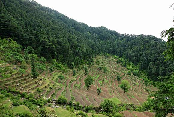 Meet Atal Bihari Vajpayee