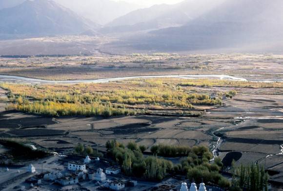 Monitoring Trans-Himalayan Migrants in Ladakh