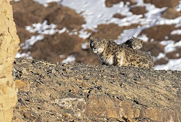 Ghosts At The Top Of The World