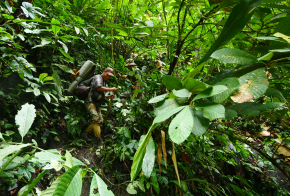 Pakke's 'Irregulars'