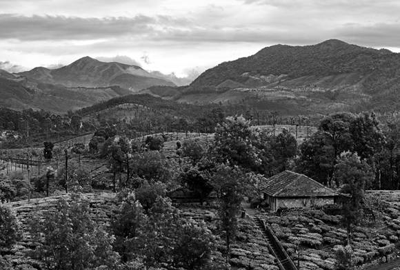 Mountain Transitions