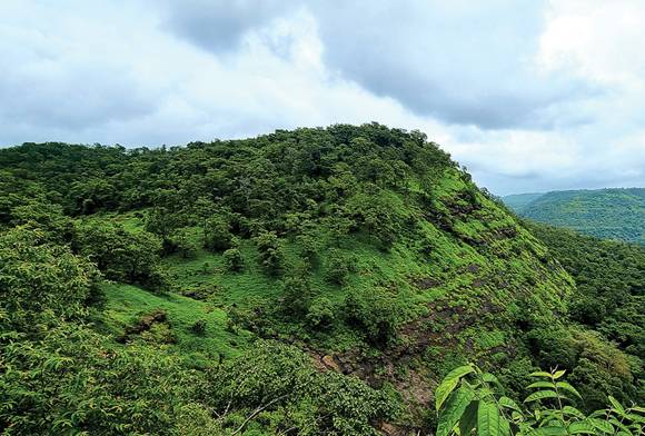 Tansa: A Forgotten Forest Paradise