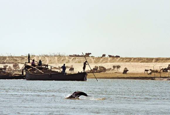 River Animals And River People: For A Shared Future