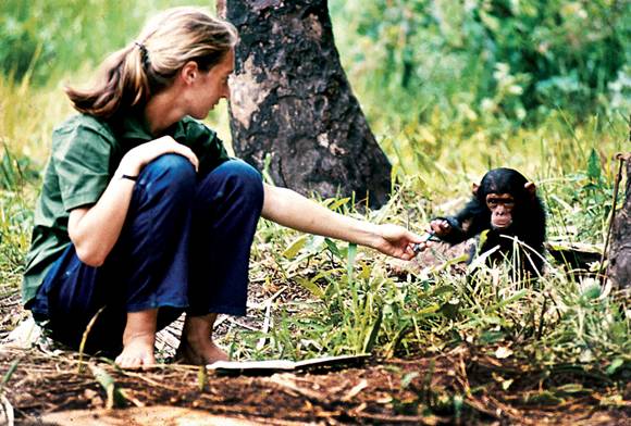 Meet Our Planet’s Protectors