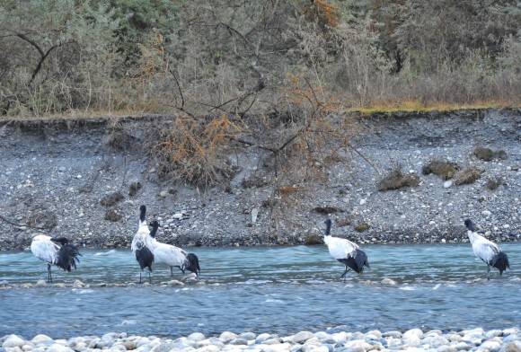 Muddy March Campaign: Support Grassroots Conservation in India