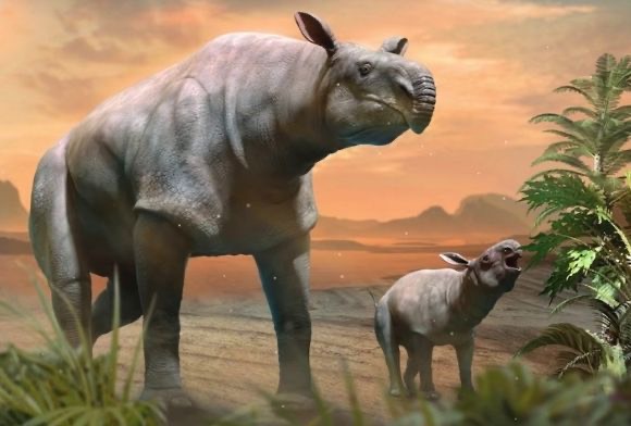Humanimals May 2022