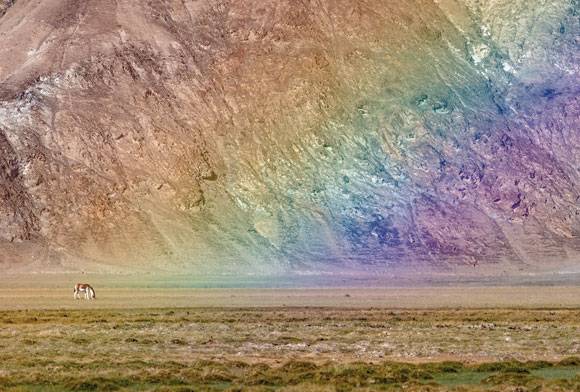 Nature’s Sound Track