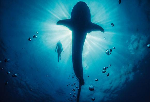 The Long And Short Of It