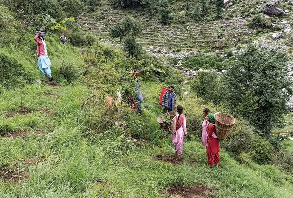 A Rewilding Journey In Chamba
