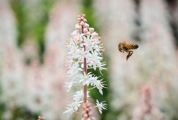 Quiet Kingdom November 2023