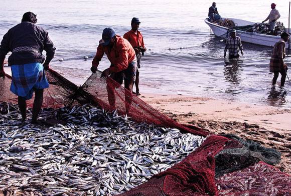 Surf's Up January 2024