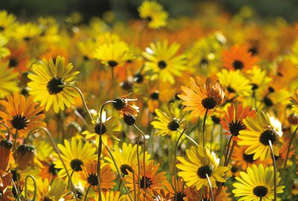 Quiet Kingdom - March 2024