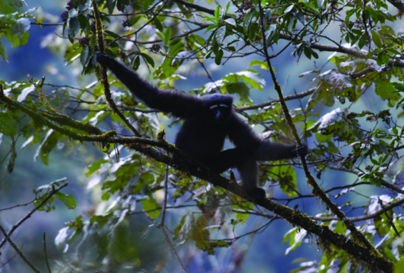 Cub News - May 2024