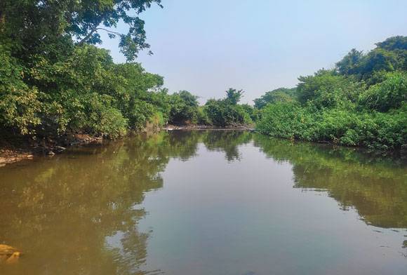 In The Field With Tiny Titans