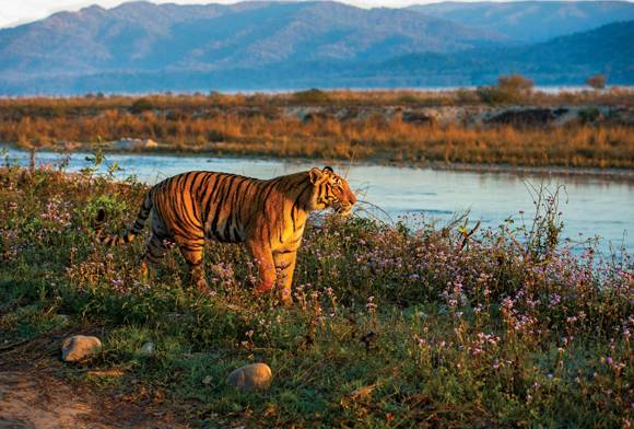 Photofeature - Encounters: A Photographer’s Wilderness Odyssey