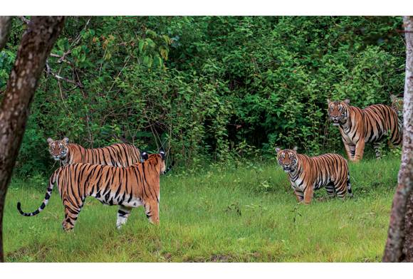 On The Shoulders Of Giants