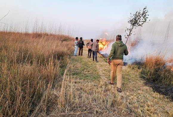 Reviving Dudhwa's Food-Grass: One Blade At A Time