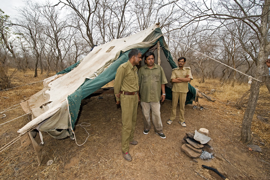 Aditya is a firm believer that revenue from wildlife tourism must benefit the local community that includes forest guards, who work around the clock to ensure satisfying experiences for the visitor.