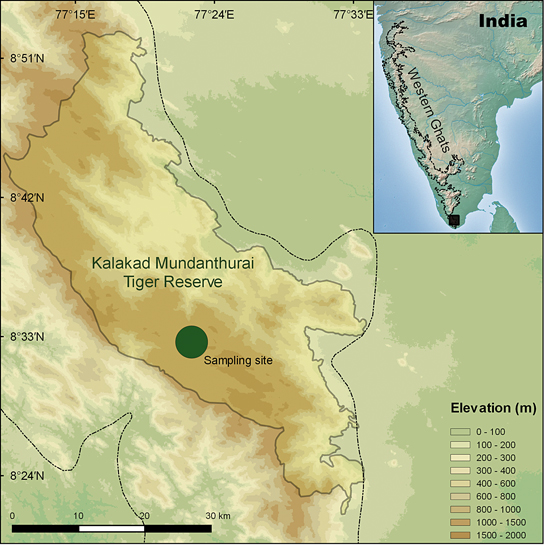 A map showing the authors study site within KMTR along the Western Ghats that also offers us an understanding of the sites elevation.