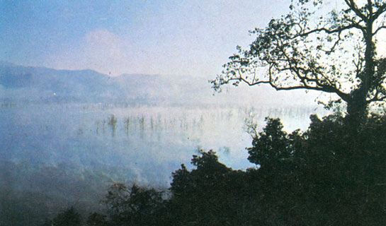 A slow mist rises over a lake, created by the construction of a dam across the Ramganga river. The adverse ecological effects of the dam are presently under study by the park authorities.