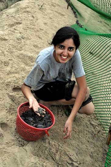 Watching the hatching of olive Ridley turtles was on Caras top â€˜Things To Do Before I Die list and after years of dreaming, she made it to the Odisha (Rushikulya) coast. She encourages everyone to go and witness the mass nesting (arribada) and hatching, not as ignorant tourists, but informed volunteers.