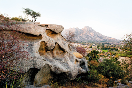 A frequent haunt that provides hideaways for the leopards, the Jawai hills according to geologists are in the region of 850 million years old. Chemical weathering below the earths surface has resulted in bizarre hollows and cutaways - formations known as flare structures.