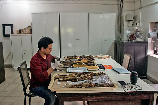 Shashank studies bird specimens in the Bombay Natural History Society museum.
