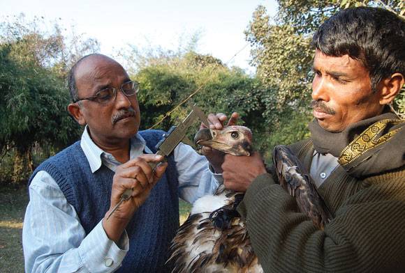 Dr. Vibhu Prakash