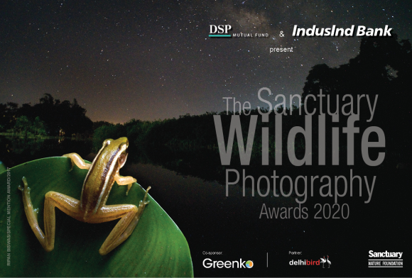 The Sanctuary Wildlife Photography Awards 2020