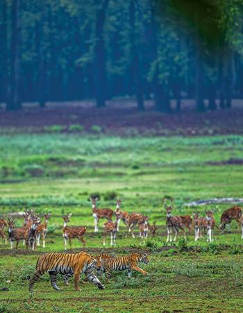 If They Thrive, We Thrive