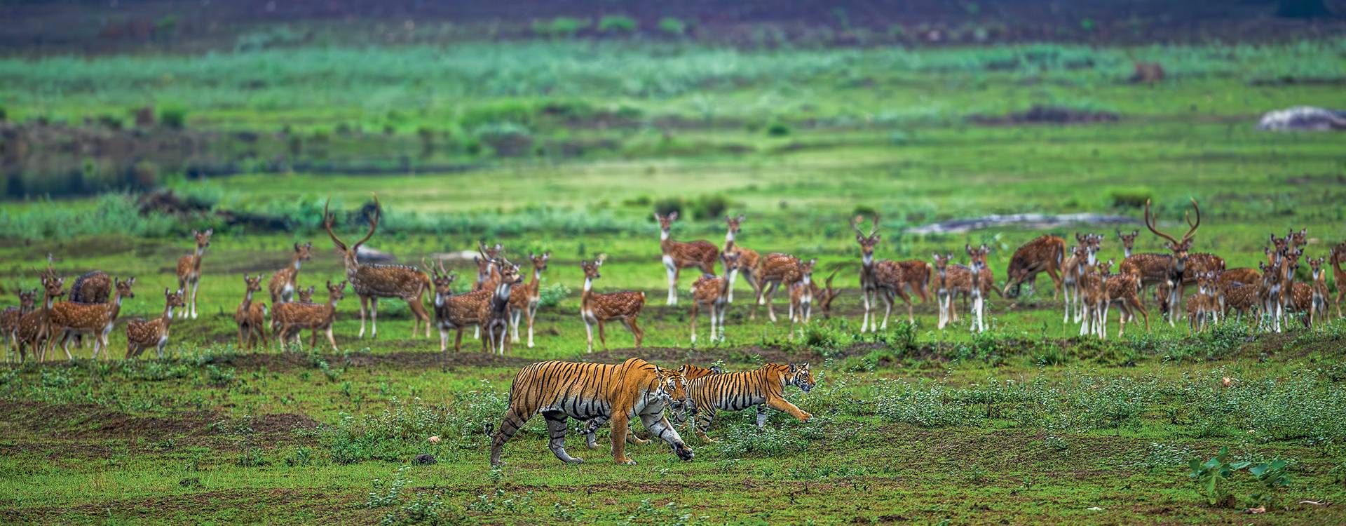 If They Thrive, We Thrive