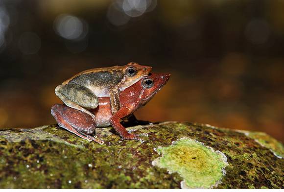 Love Makes The World Go Round