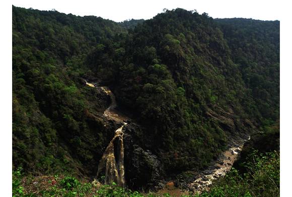 A biodiversity hotspot