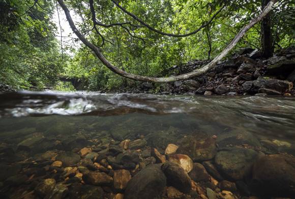 Life-giving waters