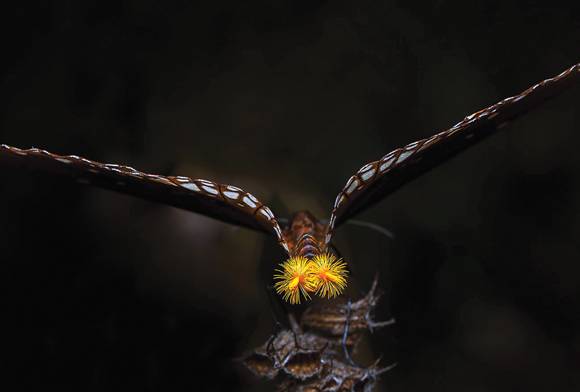 Love Is A Sprinkle Of Fairy Dust And Pheromones