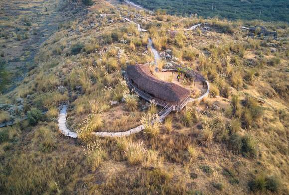 Call of the (Re)Wild: