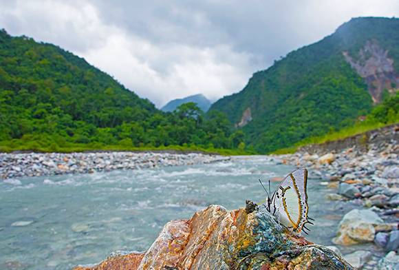 Society For Education And Environmental Development