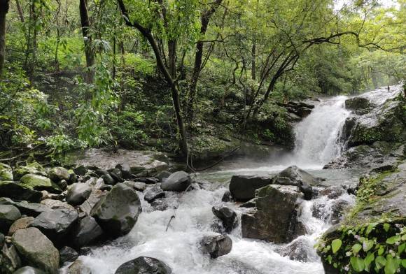 Mollem Campaign Tool Kit