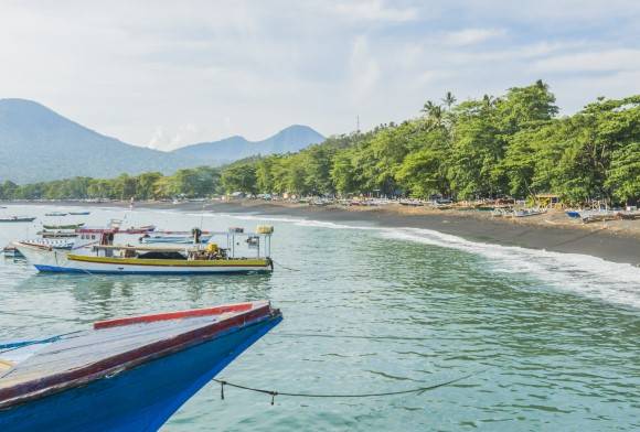 Tangkoko: A Wallacean Wonderland