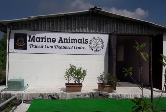 Saving Sea Life