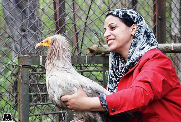 High Level Conflicts And Rescues